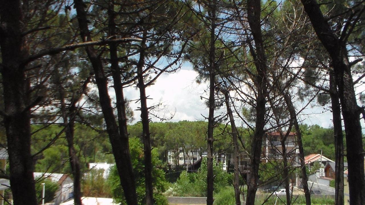 Hotel Temali 2 Velipojë Extérieur photo