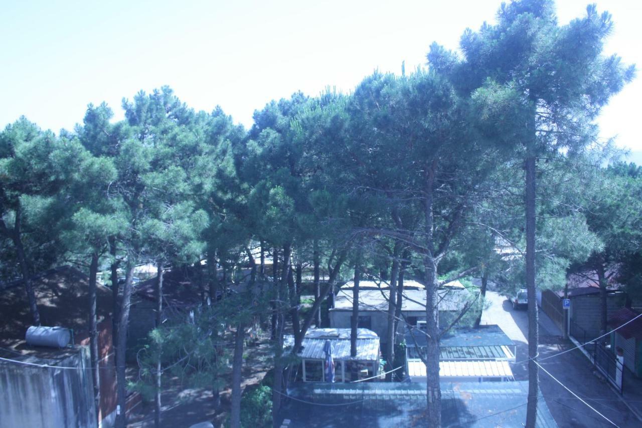 Hotel Temali 2 Velipojë Extérieur photo